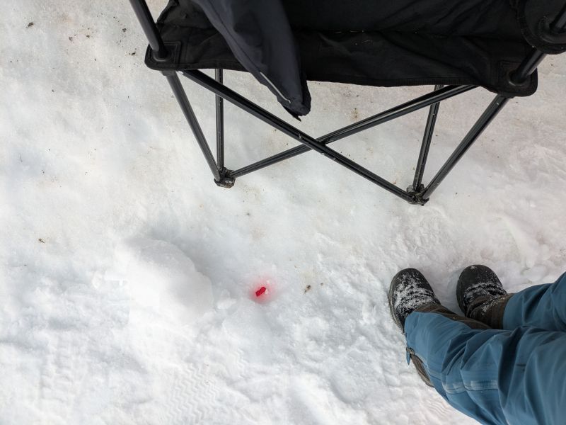 PXL_20260216_173511415.MP
